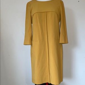 A mustard yellow dress